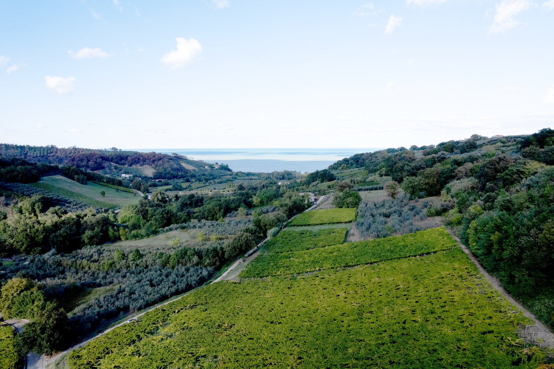 Cantina San Giacomo 1